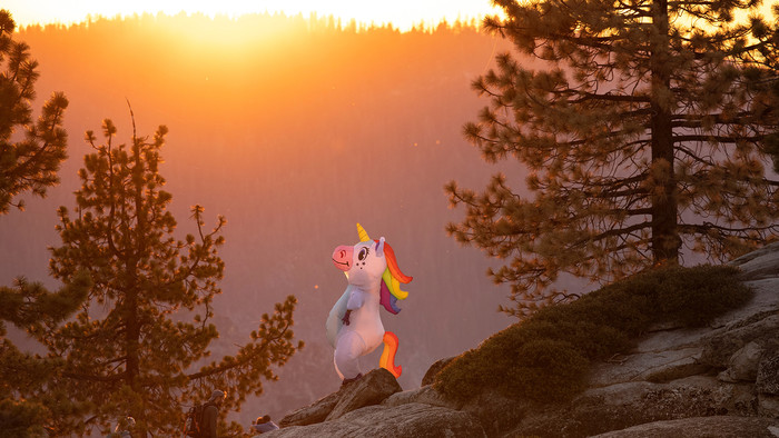 Ein aufblasbares buntes Einhorn steht auf einem Fels im Wald während des Sonnenuntergangs.