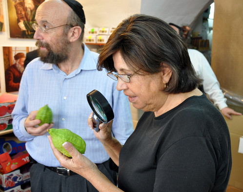 Ein jüdisches Ehepaar schaut sich Etrog-Früchte an.