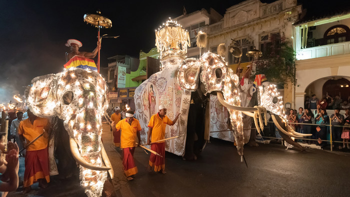 geschmückte Elefanten bei der Prozession zum Fest Esala-Perahera