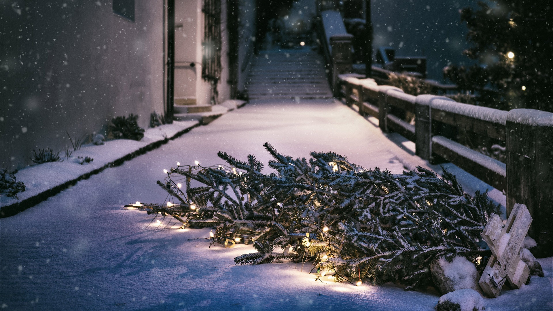 Weihnachtsbaum auf der Straße im Schnee