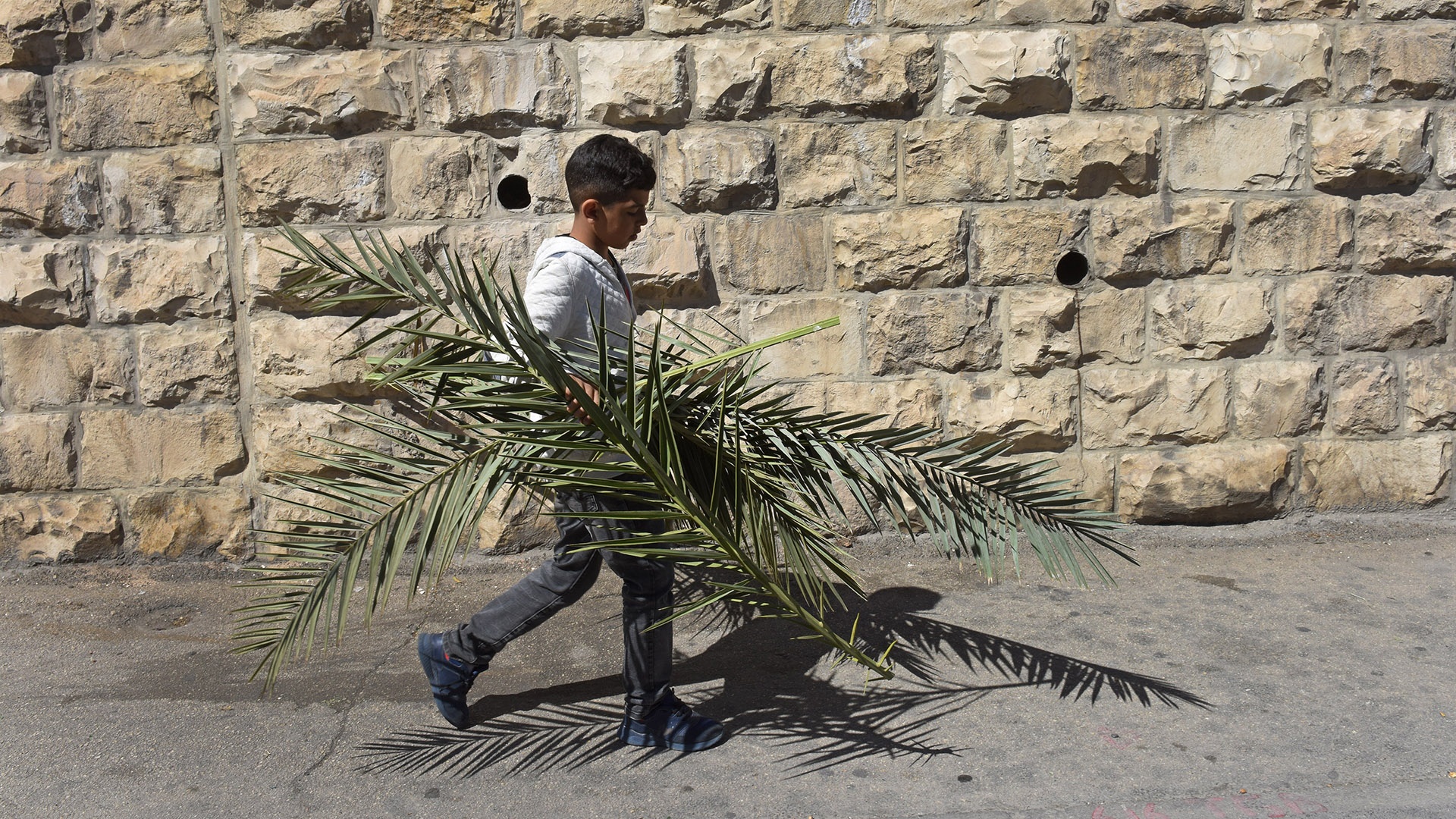 Palästinensischer Junge trägt Palmzweige