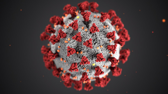 Ein Corona-Virus-Partikel