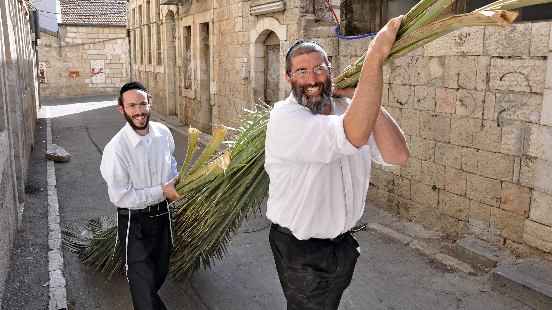 Zwei Juden tragen Palmzweigen für den Bau des Daches einer Sukka zum Laubhüttenfest