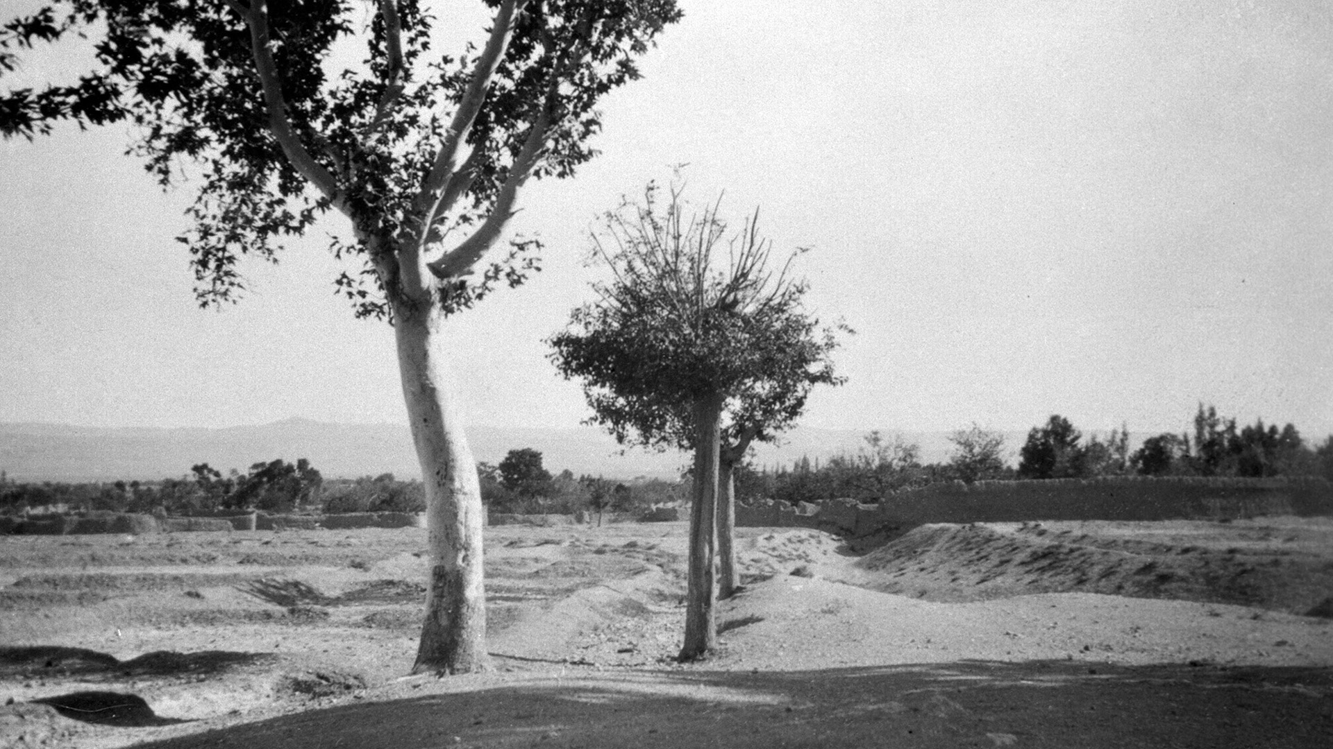 Dorf Badasht mit offenem Feld und ein paar Bäumen