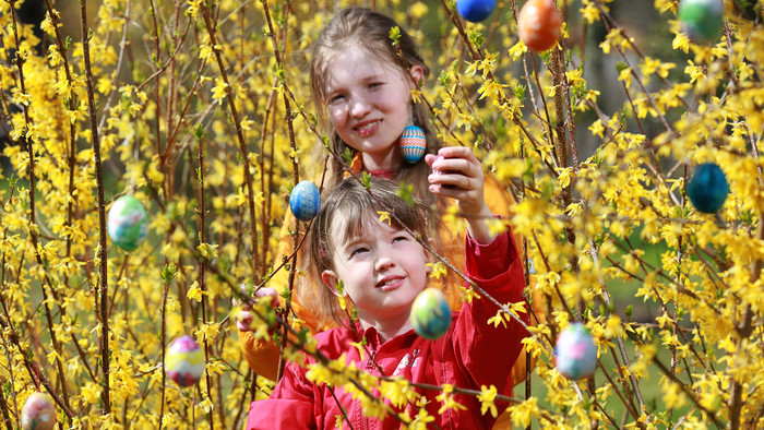 Kinder schmücken Baum im Frühling mit bunten Ostereiern.