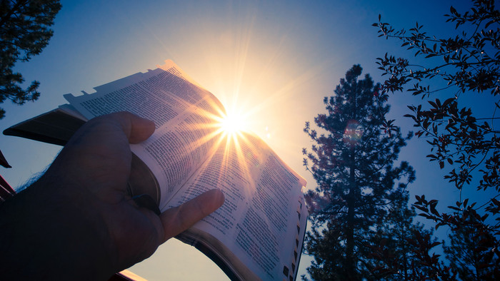 Person hält Buch in Sonne, im Hintergrund sind Bäume zu sehen