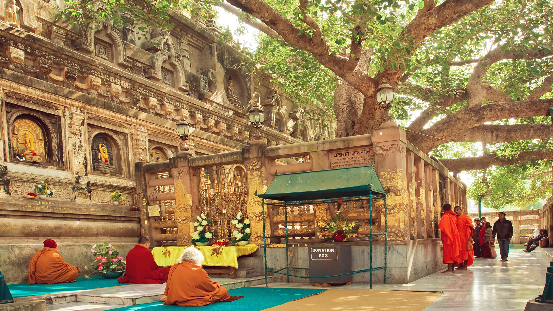 Gläubige sitzen um den Bodhi-Baum