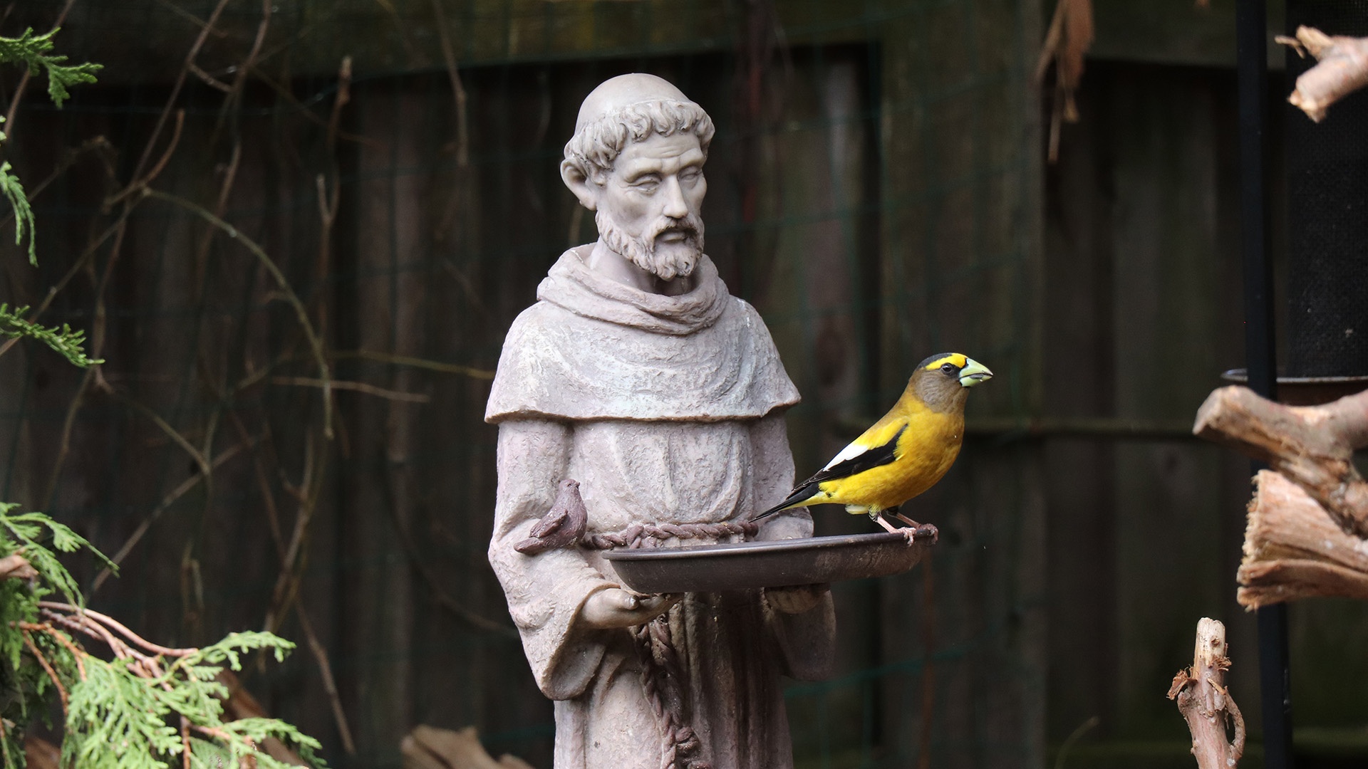 Figur von Franz von Assisi als Vogeltränke 