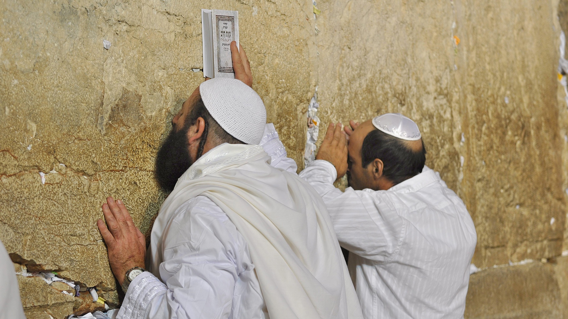 Orthodoxe Juden beten an Jom Kippur, dem Versöhnungstag, an der Klagemauer in Jerusalem