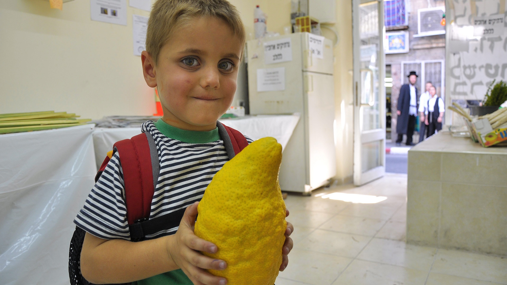 ein Etrog, ähnlich einer großen Zitrone