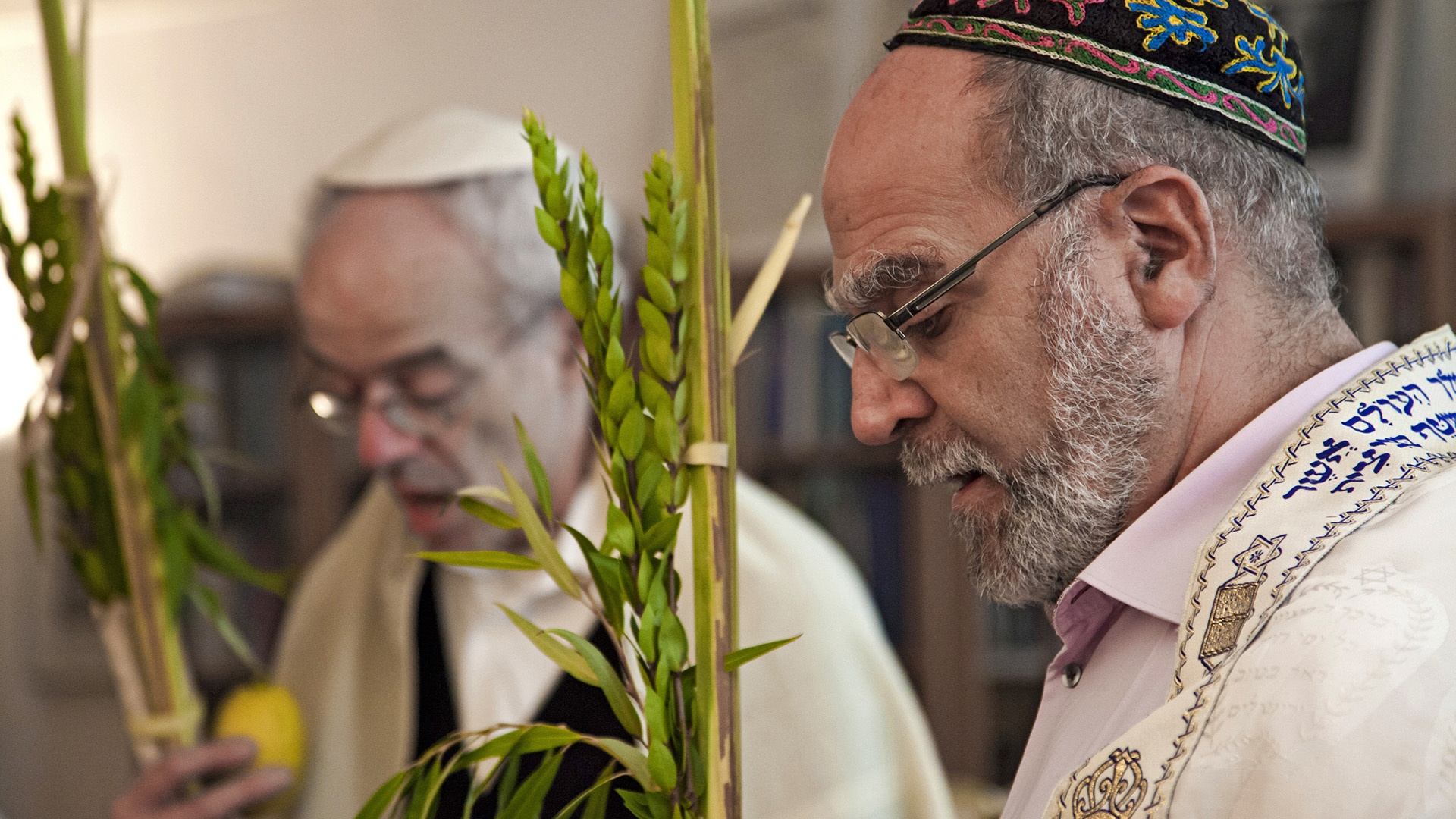 Feststrauß Lulav aus Palmen-, Myten- und Bachweidenzweigen