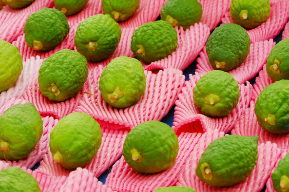 Hellgrüne Etrog-Früchte liegen auf pinkfarbenen Netzverpackungen.