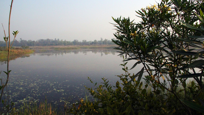 Blick auf den blauen Shakya Puskari See mit gelb blühenden Pflanzen im Vordergrund